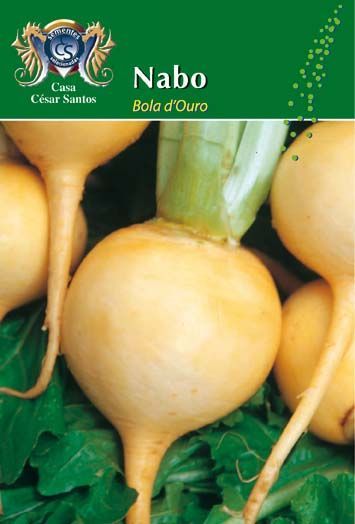 Packaged yellow turnips labeled “Nabo Bolo d’Ouro” on a green background