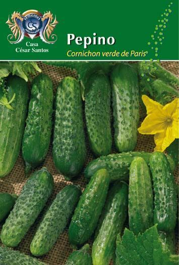 Green cucumbers in a produce package labeled “Pepino” with a yellow flower