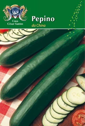 Seed packet for “Pepino de China” showing long green cucumbers and sliced rounds on a green background