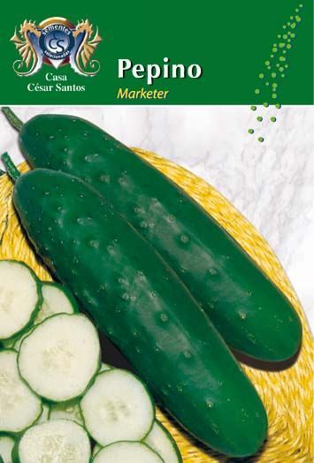 Green cucumber seed packet labeled “Pepino” with sliced cucumbers and two whole cucumbers
