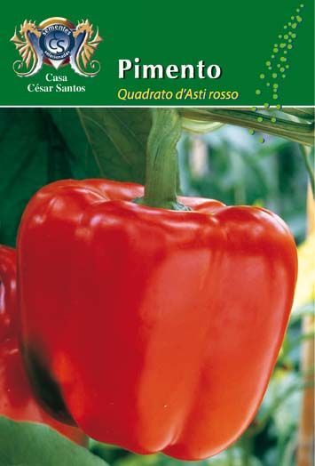 Red bell pepper on the vine with seed packet text “Pimento” and “Quadrado d'Asti rosso”