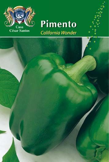 Green bell pepper seed packet labeled “Pimento” with a close-up of peppers