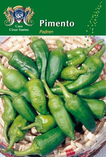 Package labeled “Pimento Padron” with green peppers piled in a basket