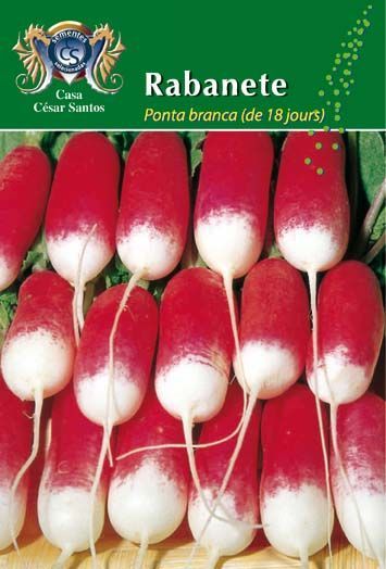 Package of red-and-white radish seeds labeled “Rabanete,” with rows of radishes pictured.