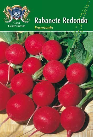 Red radishes on a green background with Spanish text reading “Rabanete Redondo Encordado.”