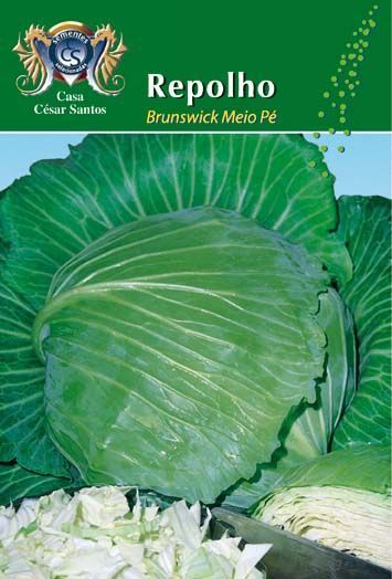 Green cabbage heads with Portuguese label “Repolho Brunswicker Meio Pe” on a seed packet