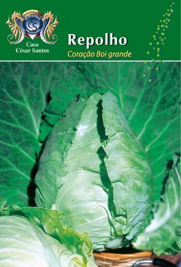 Pack of green cabbage seeds with a large cabbage photo and the text “Repolho” at the top