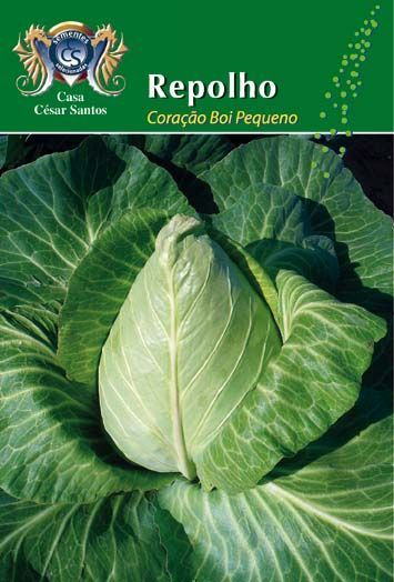 Publicidade de repolho verde “Coração de Pequeno” sobre fundo verde.