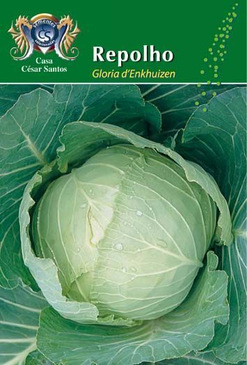 Seed packet for “Repolho” cabbage with a large green cabbage head on the front.