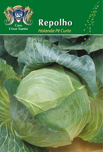 Seed packet labeled “Repolho Hoanda Pé Curto” with a close-up photo of a green cabbage.