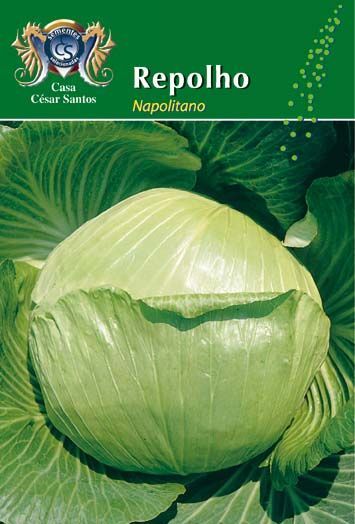 Green cabbage seed packet labeled “Repolho Napoletano” with a cabbage illustration
