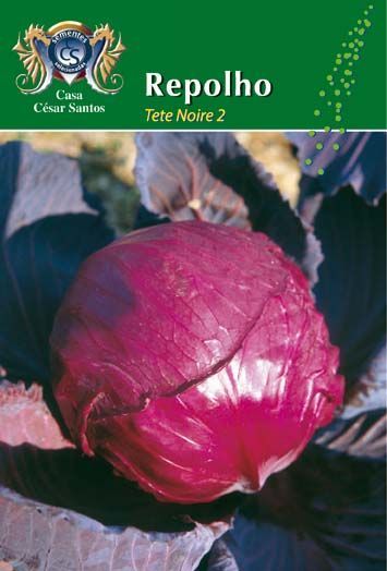 Purple cabbage in a field, with a seed packet label reading “Repolho Tete Noire 2”