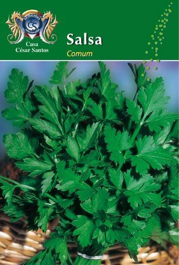 Fresh parsley bunch with green leaves on a label reading 