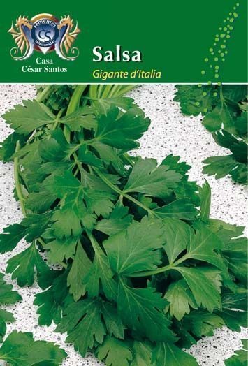Packet of “Salsa Gigante d’Italia” parsley seeds with green parsley leaves shown on the front cover