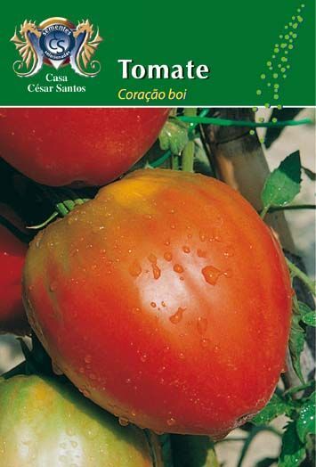 Red and orange tomato on the vine with a green seed packet label reading “Tomate.”
