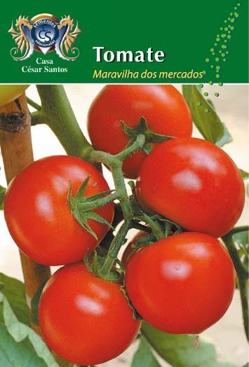 Red tomatoes on the vine with green leaves on a seed packet labeled “Tomate.”