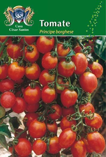 Tomato seed packet showing clusters of ripe red tomatoes on the vine with green leaves