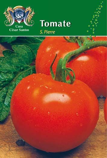 Tomato seed packet showing bright red tomatoes and green leaves