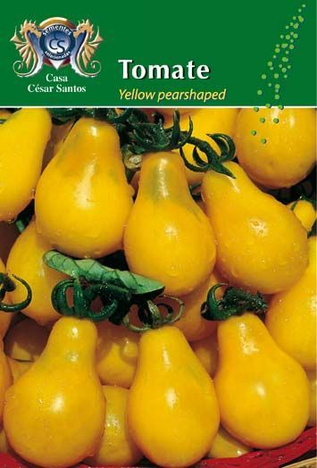 Yellow pear-shaped tomatoes on a seed packet label, with green leaves and the text “Tomate” above.
