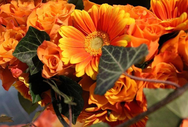 Nahaufnahme eines Straußes mit leuchtend orangefarbenen Blumen und grünen Blättern.