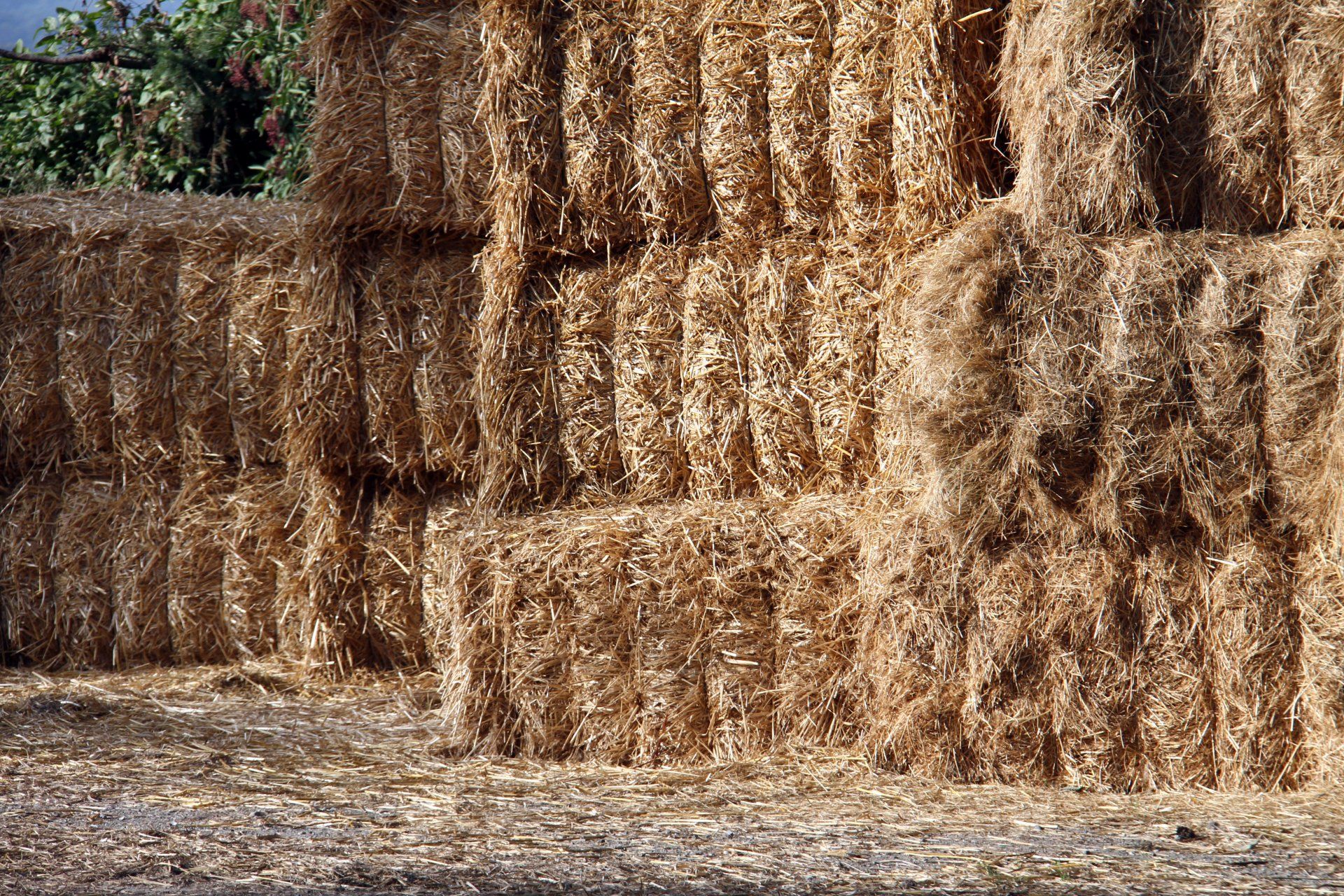 Transport de fourrages