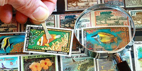 Collection de timbres aux couleurs vives