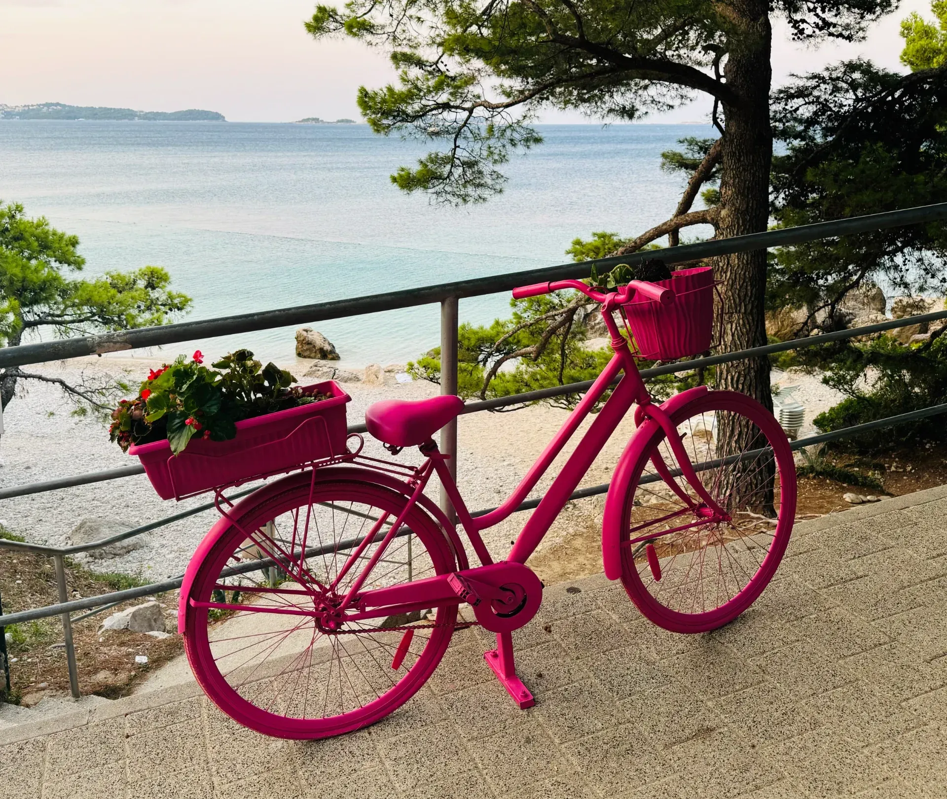 A bright pink bicycle with a flower basket parked on a seaside path, overlooking a beach and the ocean.