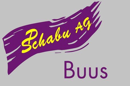 Logo | Schabu AG | Komplettsanierung & Umbau von Häusern | Buus