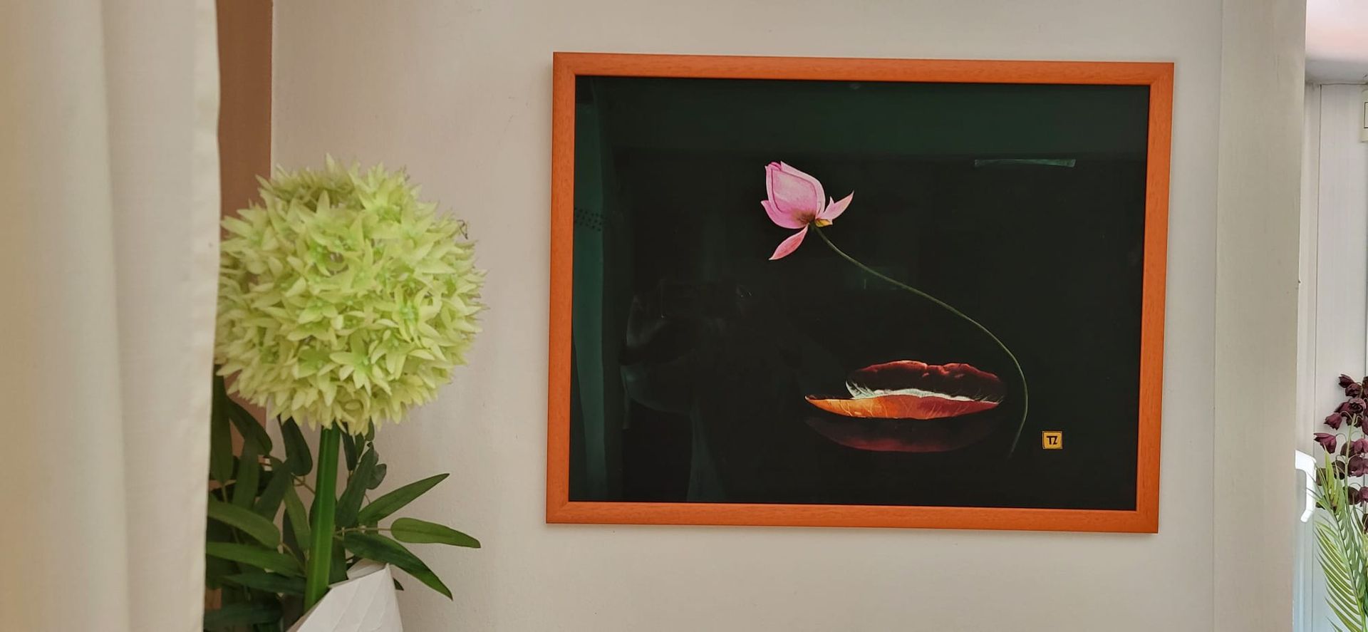 Gerahmtes abstraktes Kunstwerk mit orangefarbenem Rand und rosa Blume an einer dunklen Wand, neben einer Topfpflanze
