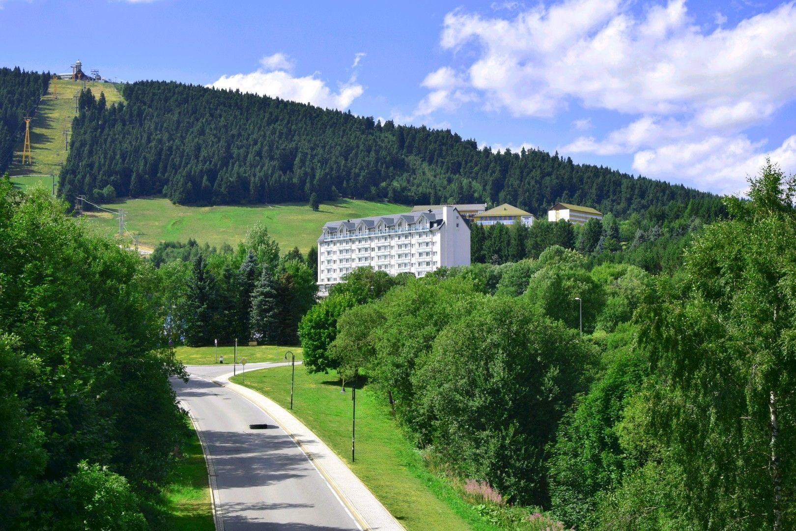 Eine Straße, die durch einen Wald führt, mit einem Gebäude im Hintergrund
