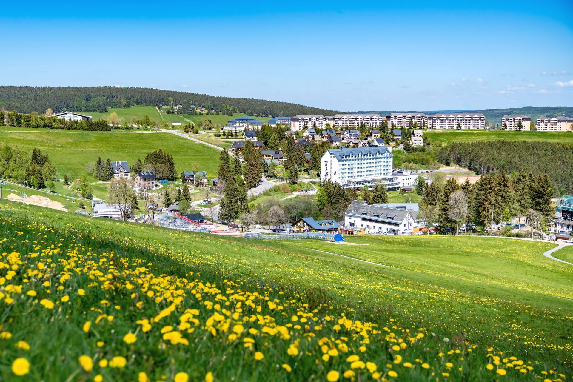 Ein Blick von einem Hügel auf eine kleine Stadt mit einem Löwenzahnfeld im Vordergrund.