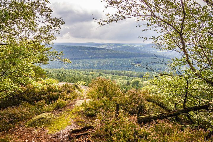 Erlebnisheimat Erzgebirge