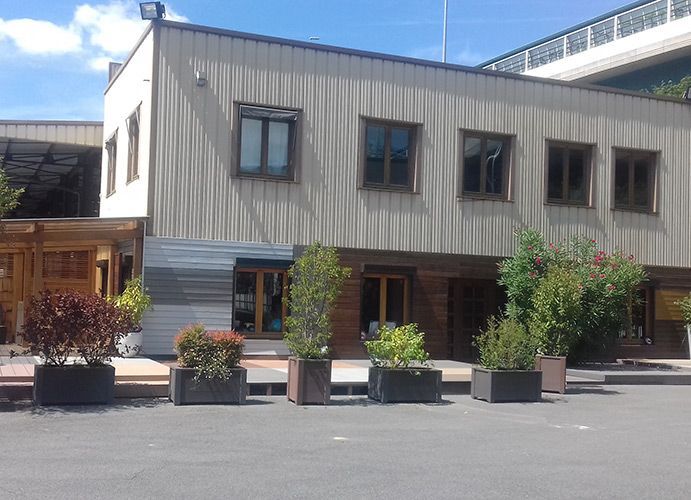 Façade moderne d'un bâtiment avec fenêtres, éléments en bois et arbustes en pot.