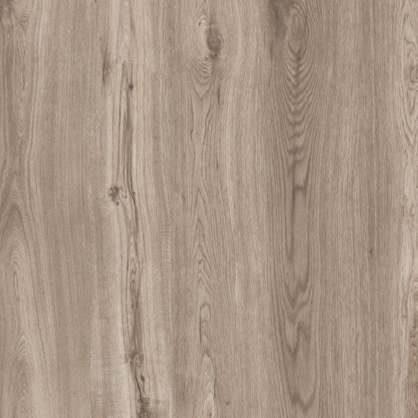 Texture tan