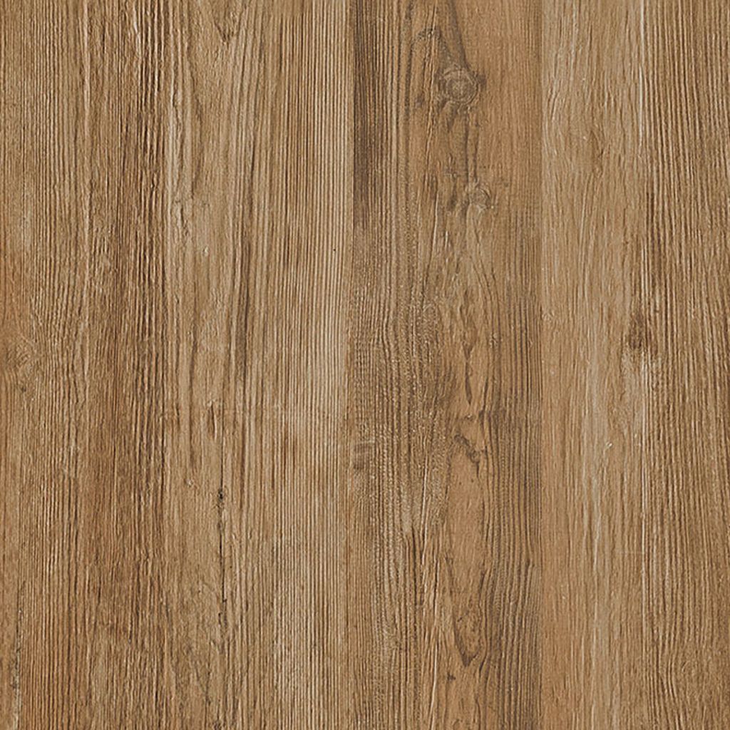 Texture camel