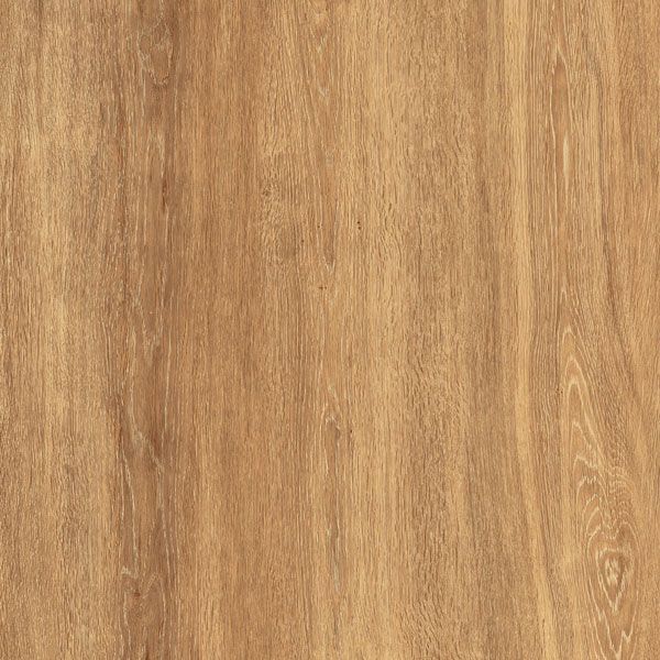 Texture pappery