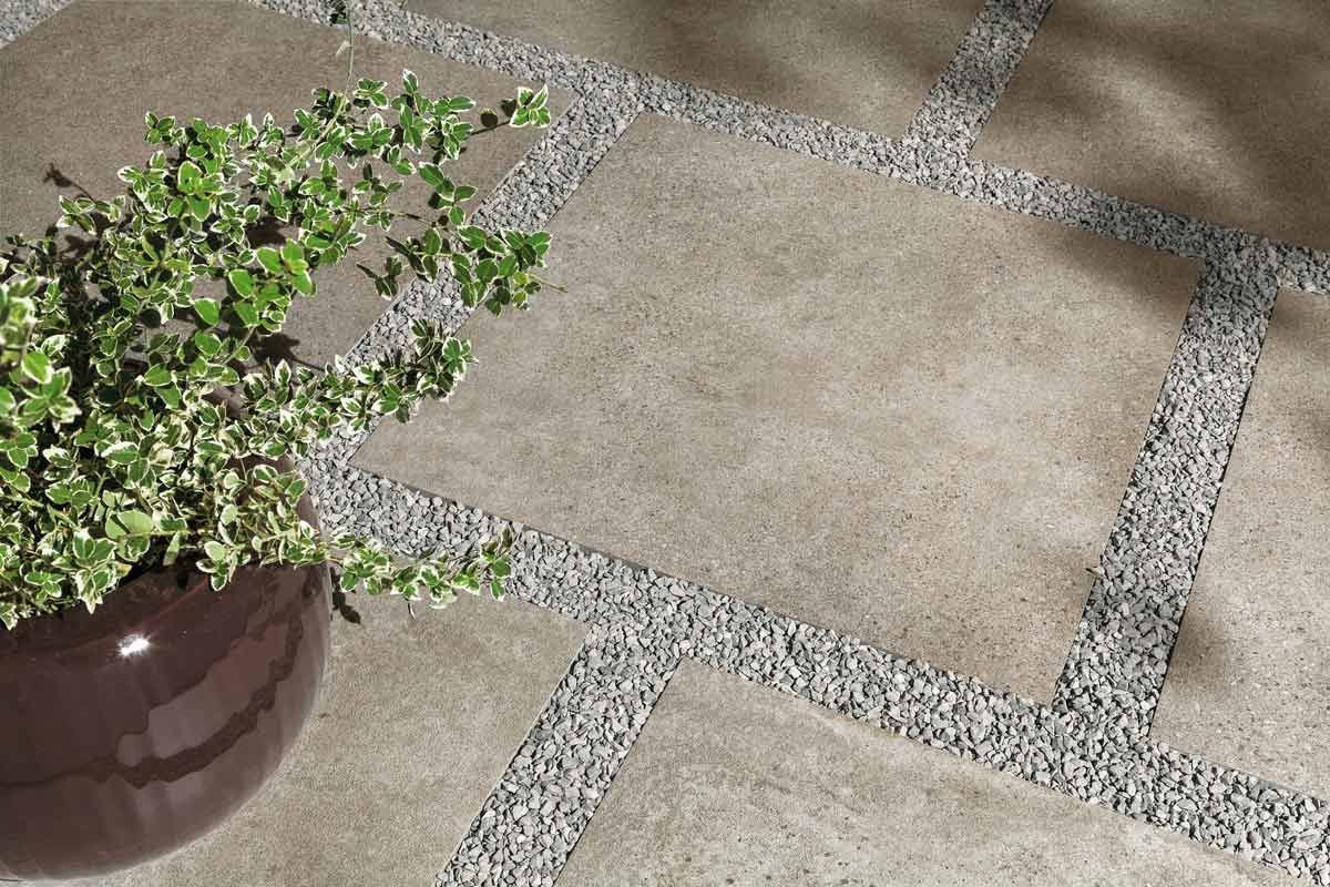 Plante verte en pot sur une terrasse en pierre au soleil