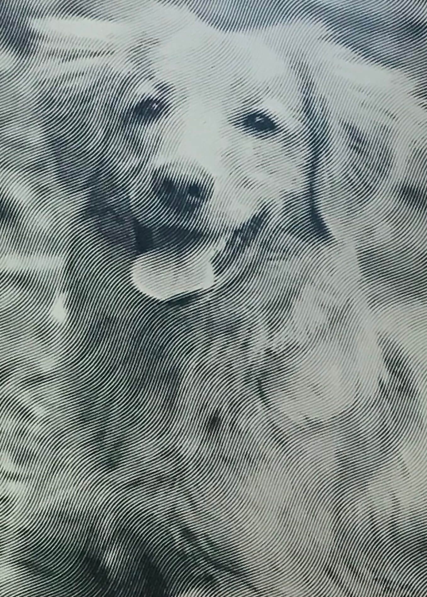 Oliva Falegnameria SA