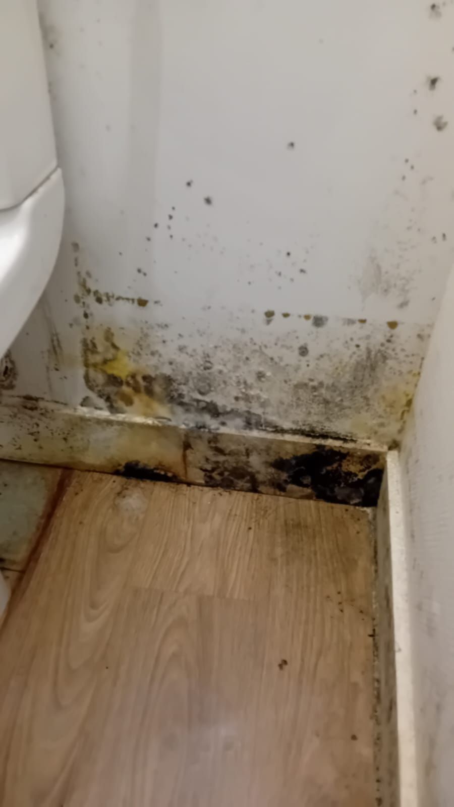 Une salle de bain avec toilettes et un mur moisi.