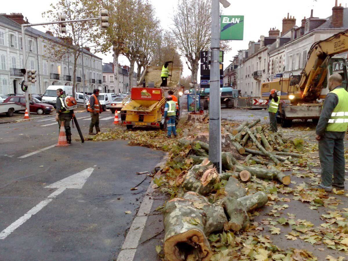 Abattage dans une rue