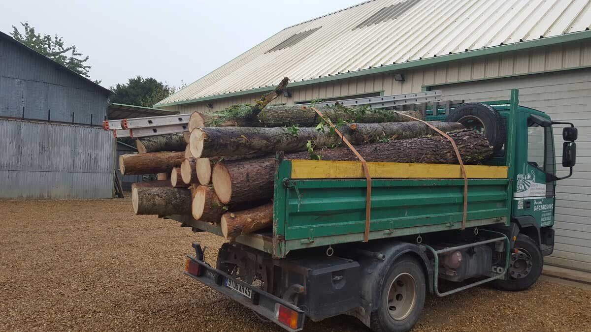 Chargement de bois suite à un élagage