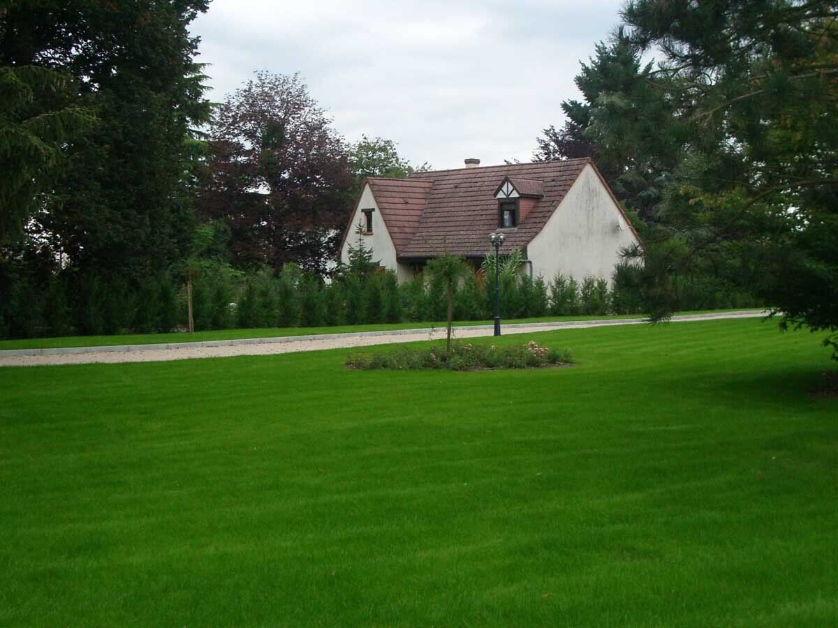 Grand espace de pelouse