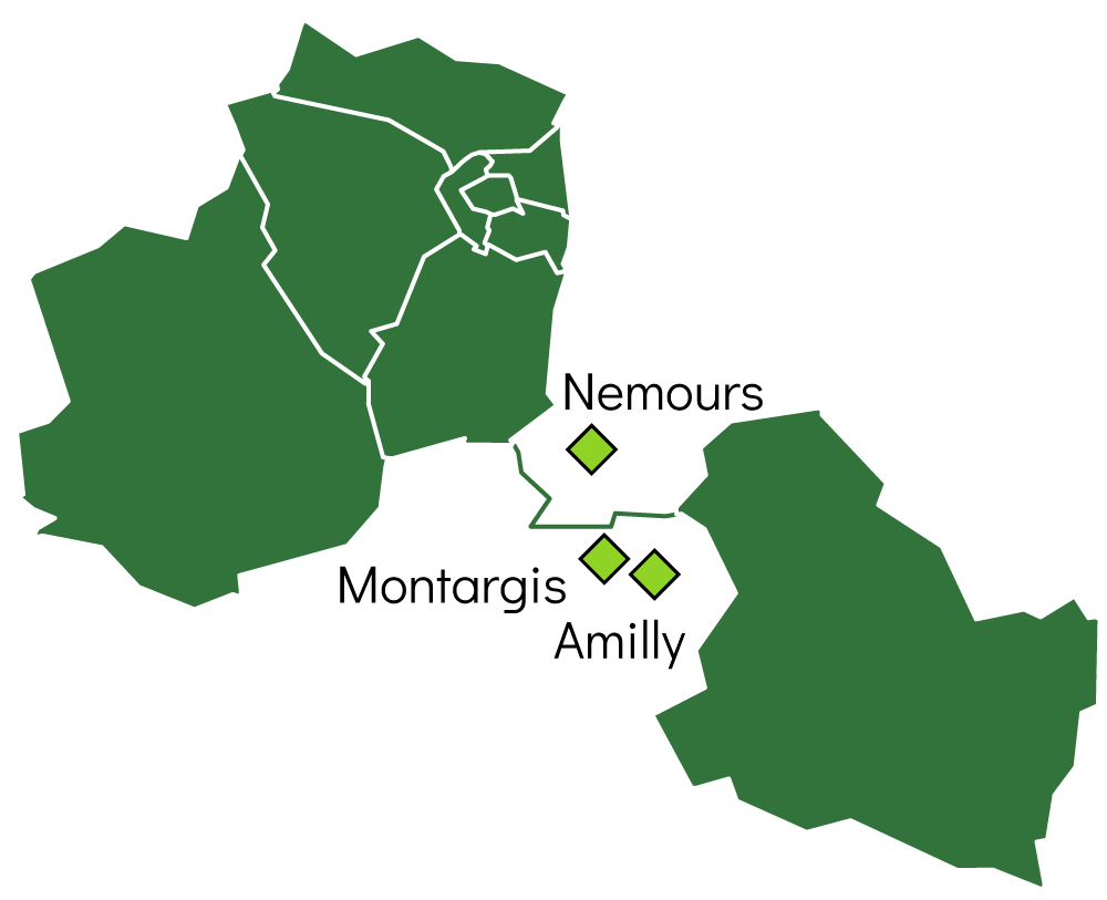 Carte stylisée de la zone d'intervention - Montargis - Amilly - Nemours