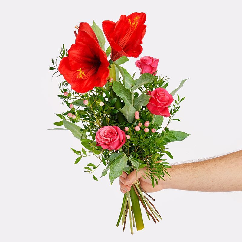 STRAUSS DER WOCHE - KW 48