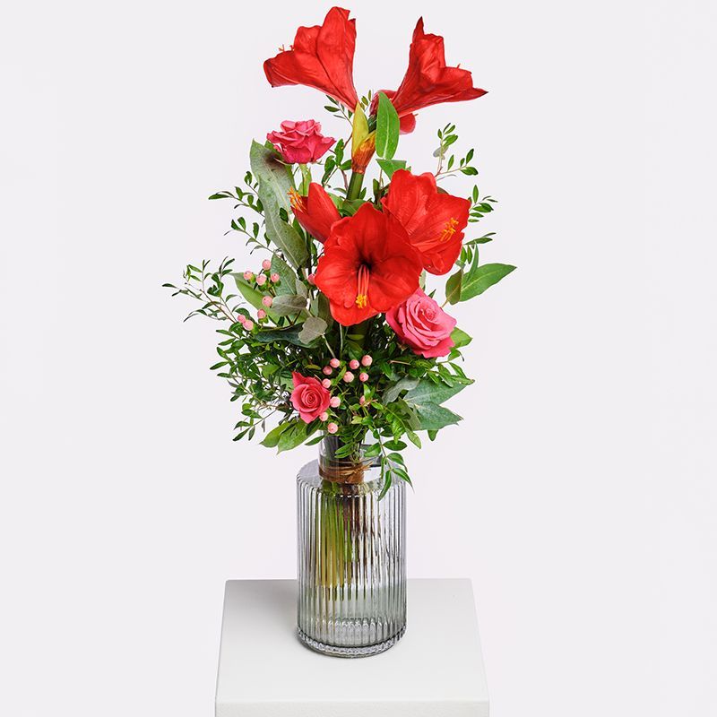 STRAUSS DER WOCHE - KW 48