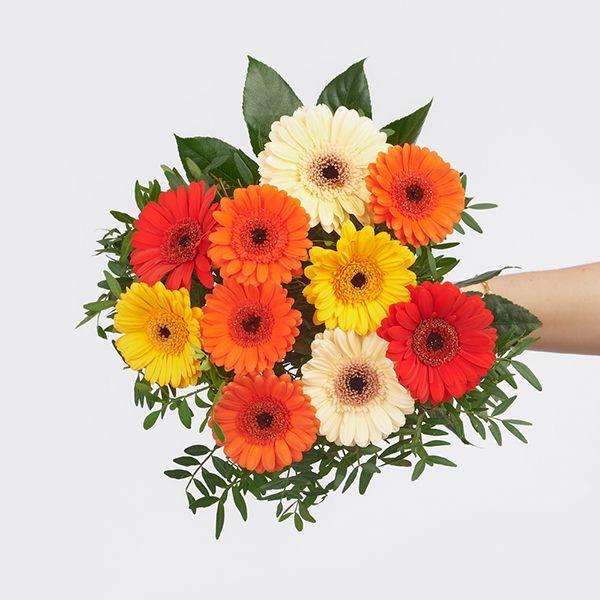 STRAUSS DER WOCHE - KW 08