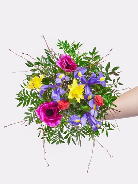 STRAUSS DER WOCHE - KW 09