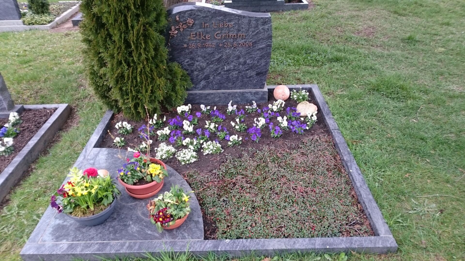 Blumen Schöne Floristik Grabpflege