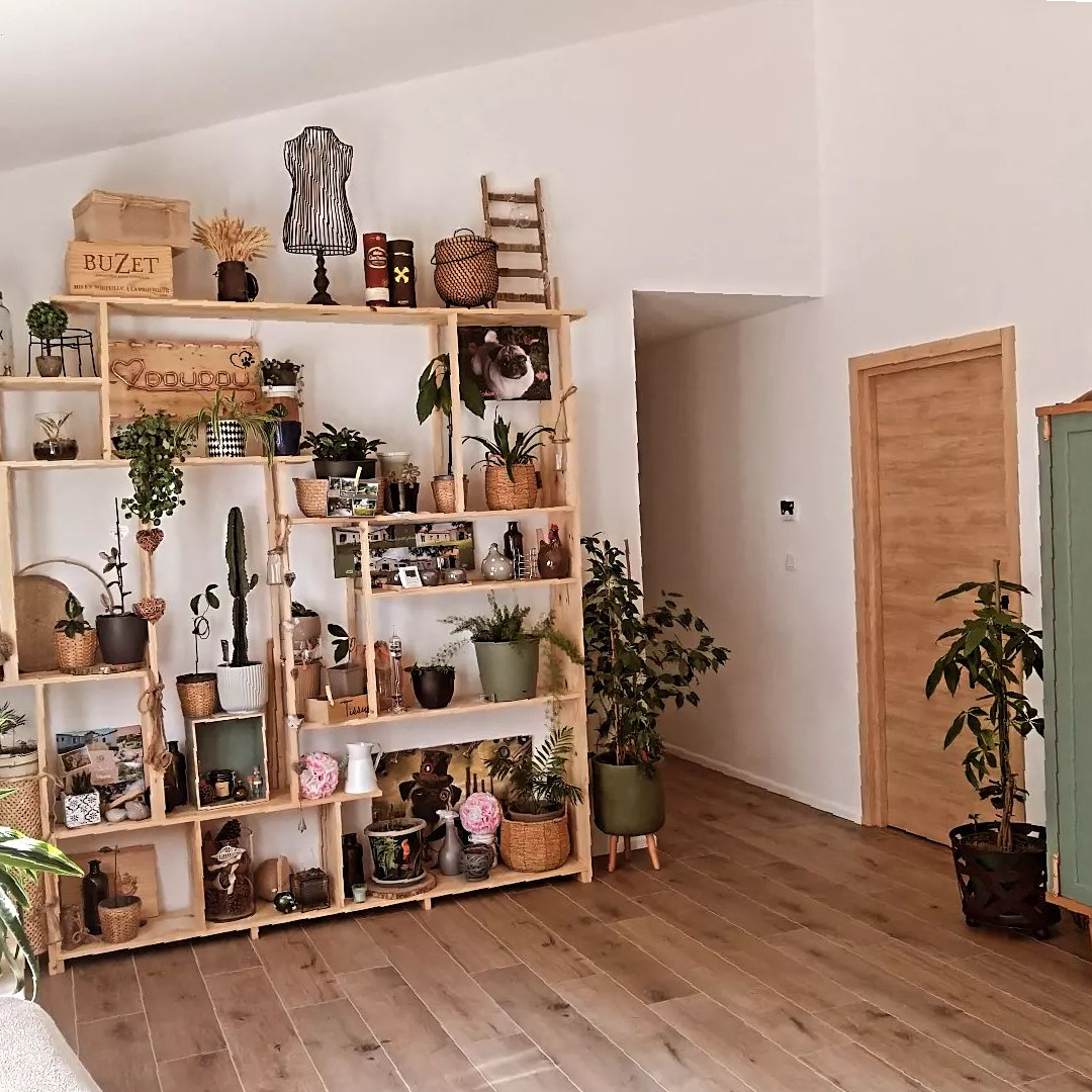 Bibliothèque de bois clair avec des plantes et de la décoration