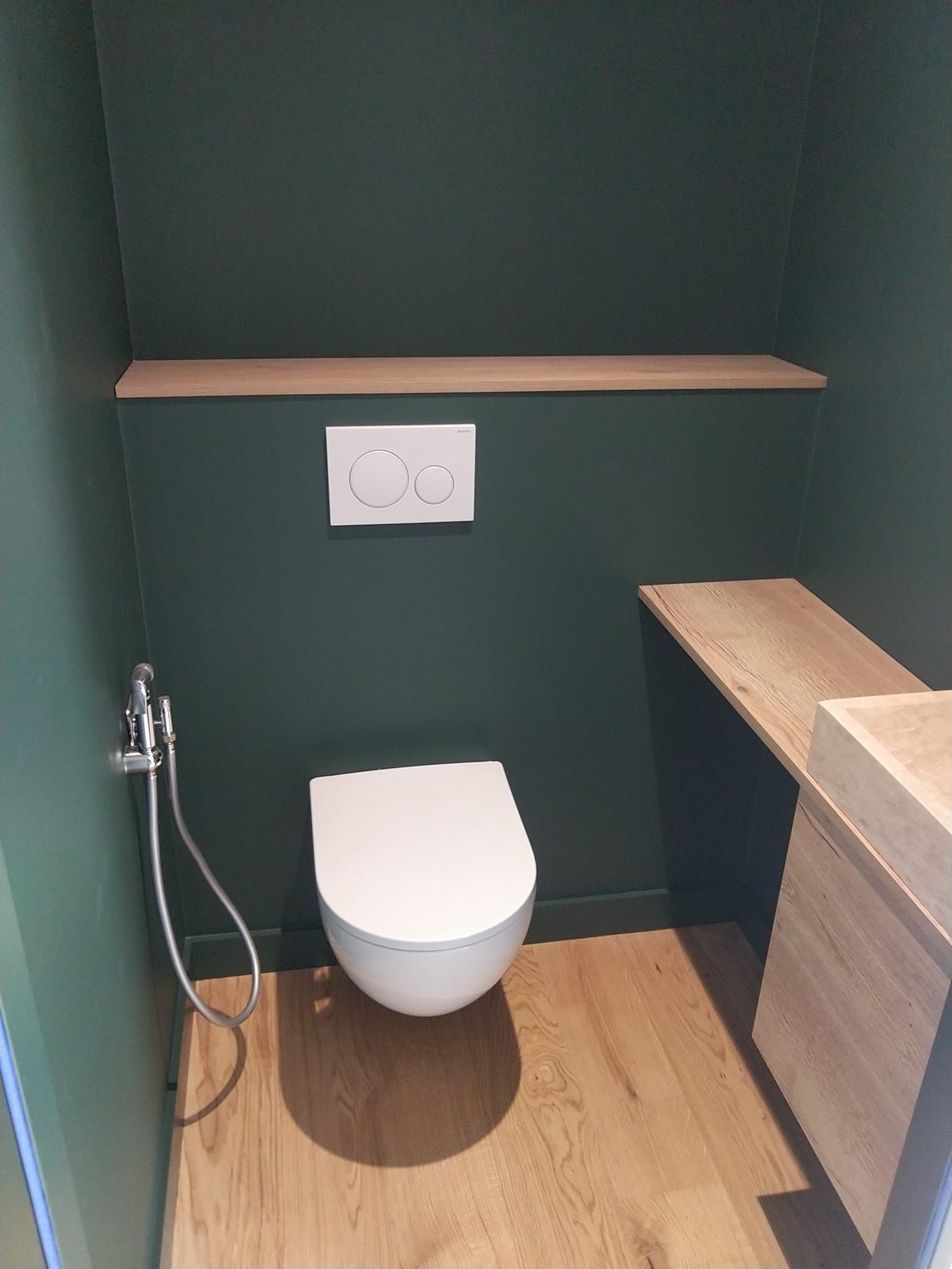 Toilettes suspendues sur des murs verts